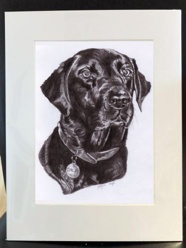 A3 Dog Portrait Drawing